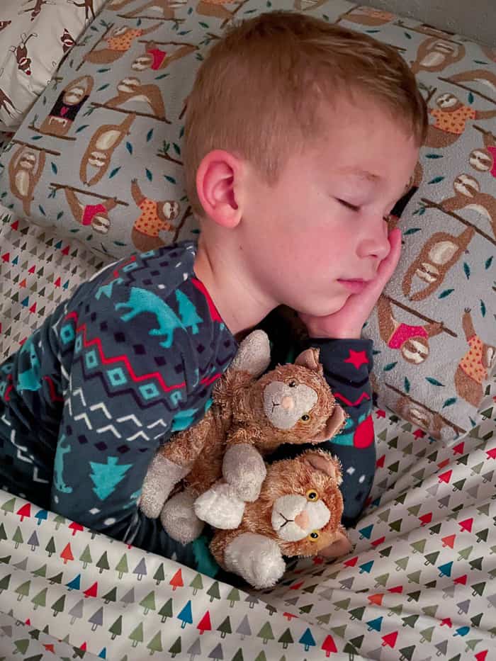 a boy holding two stuffed cats while sleeping