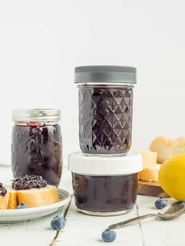 Fresh Blueberry Compote (3 Ingredients) - Sustainable Cooks