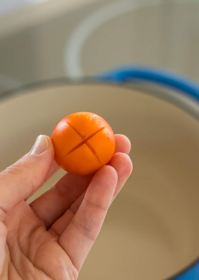 a hand holding an orange tomato with an "x" cut in the bottom of it