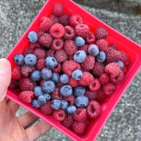 a container of blueberries and raspberries