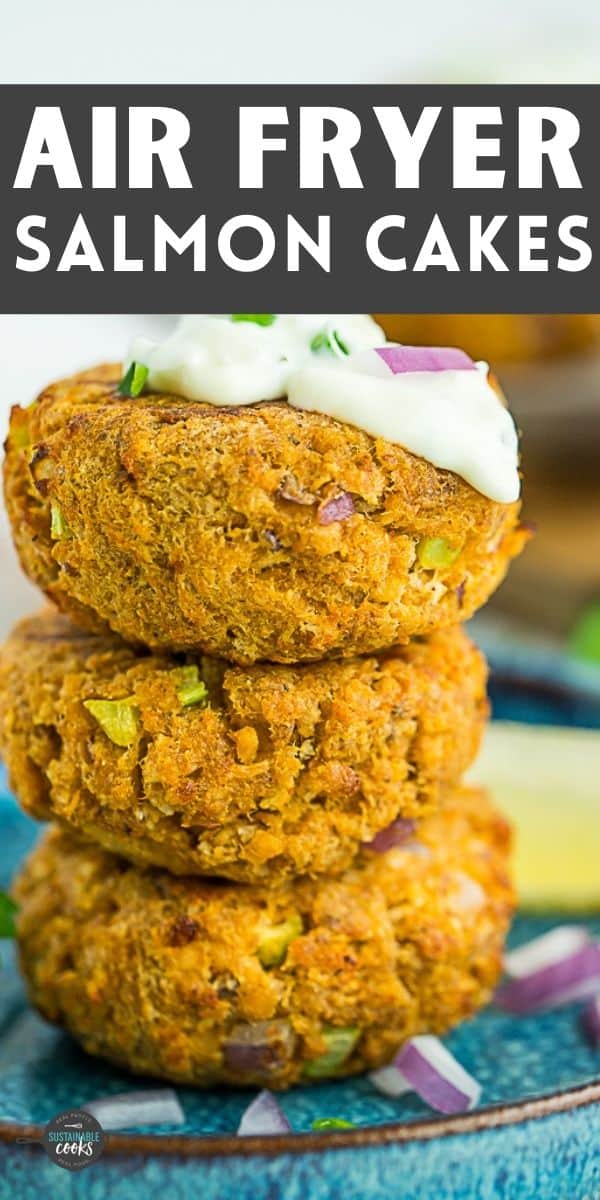 Air Fryer Salmon Patties Sustainable Cooks