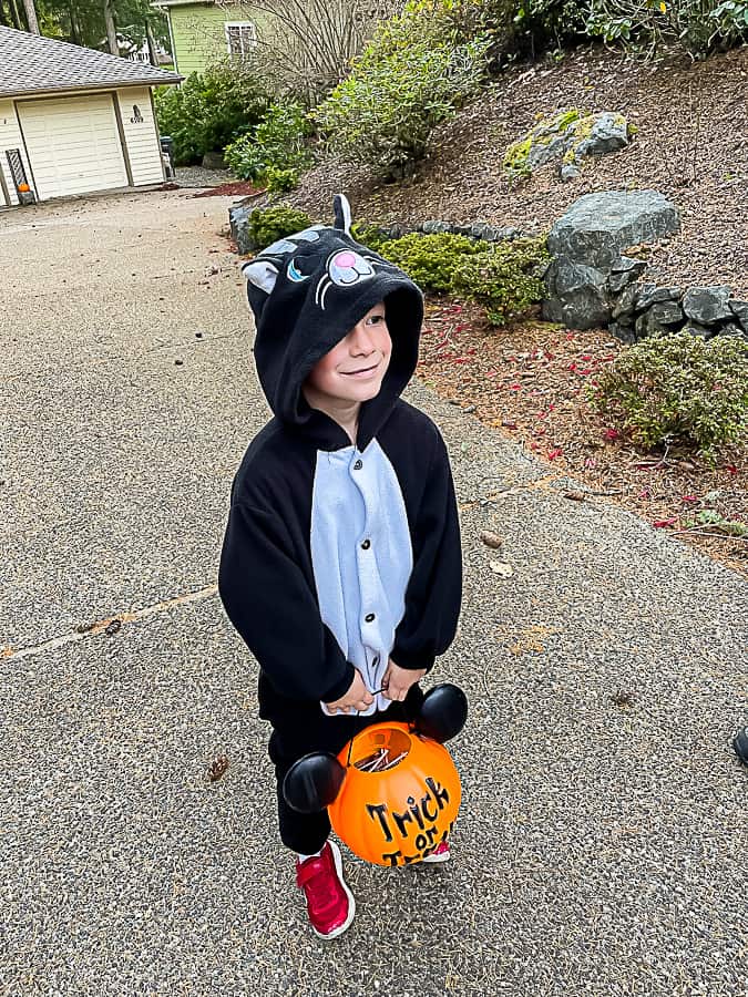 a kid in a cat costume