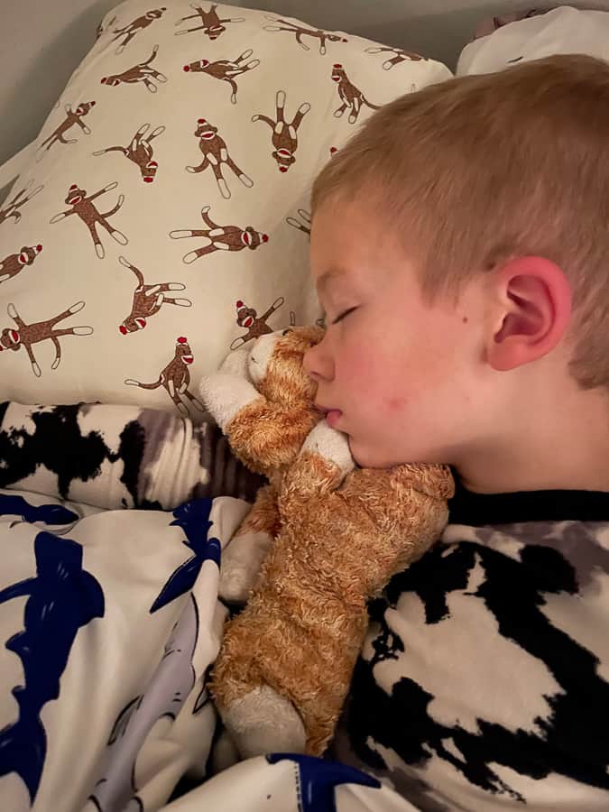 a boy sleeping with 2 stuffed cats