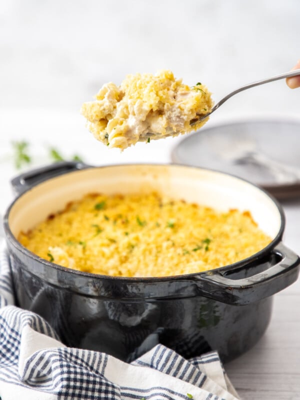 a spoonful of chicken broccoli pasta