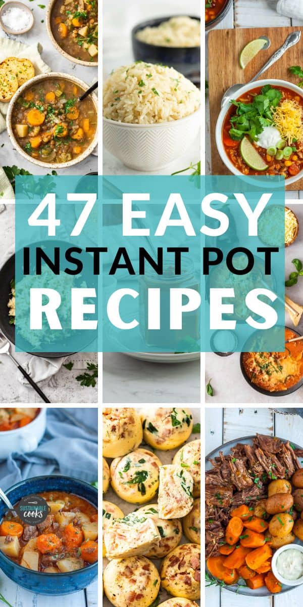 Easy Instant Pot Recipes - Sustainable Cooks