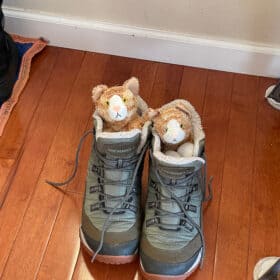 2 stuffed kitties in snow boots