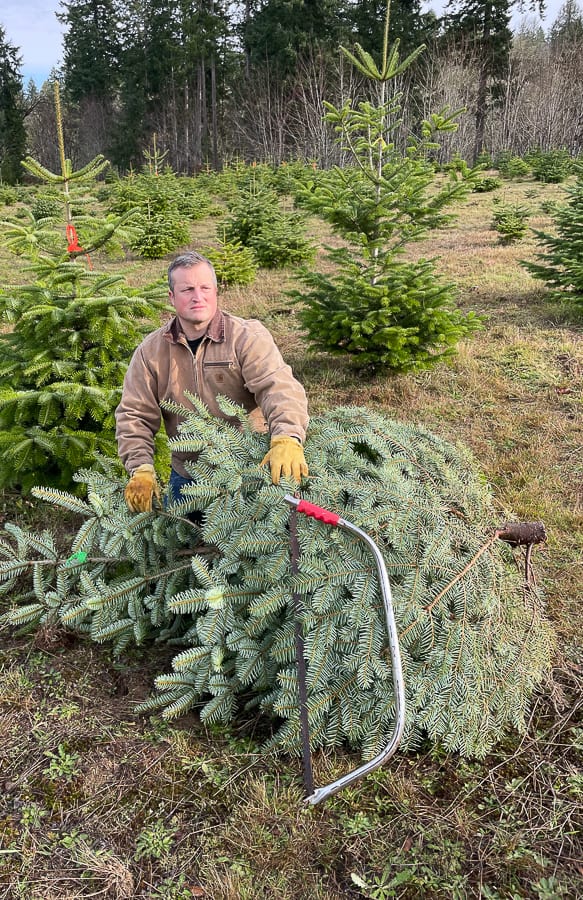 a man holding a saw in front of a Christmas tree