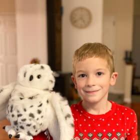 a boy holding a stuffed owl