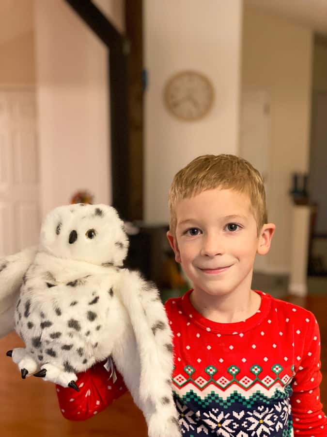 a boy holding a stuffed owl