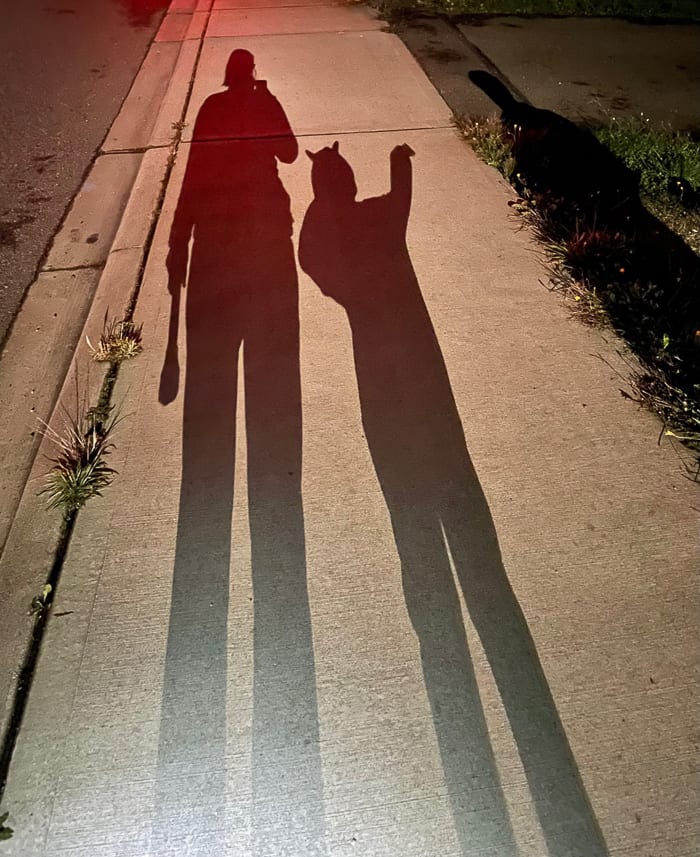 two shadows on a sidewalk