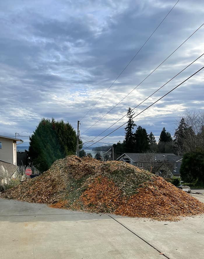 woodchips in a driveway