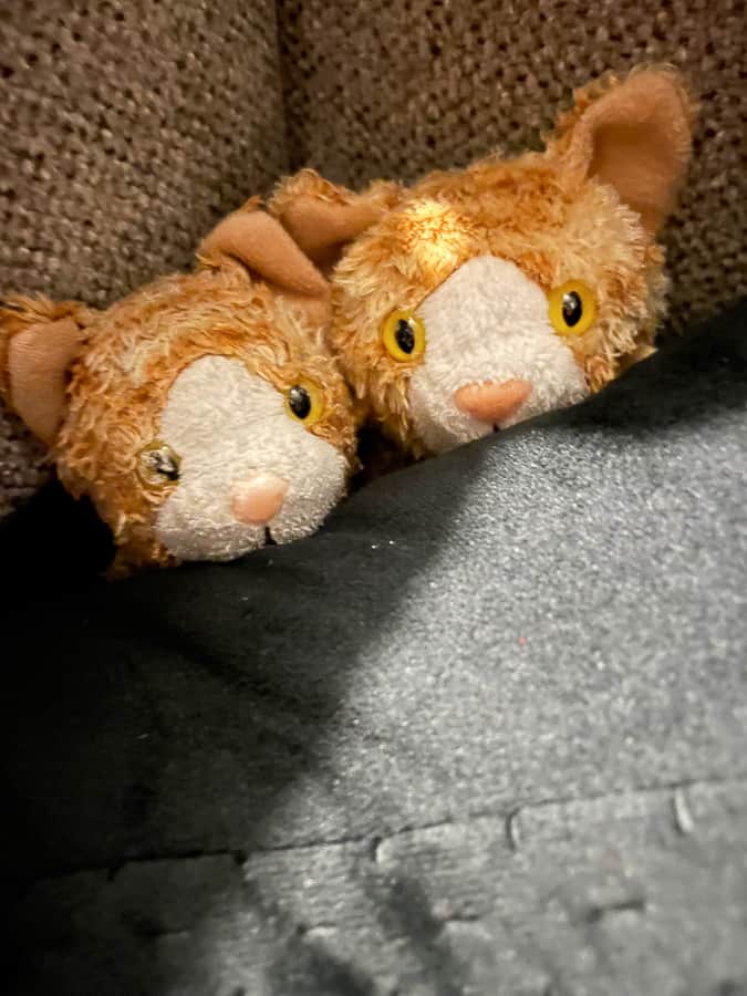 2 stuffed kitties