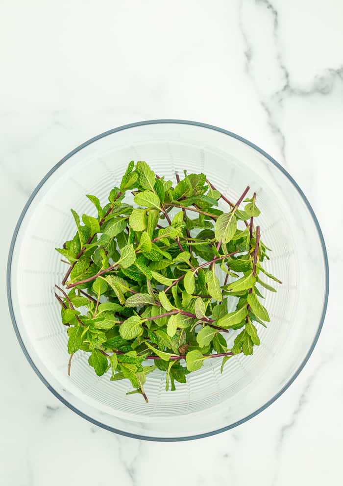 Mint stems in a salad spinner
