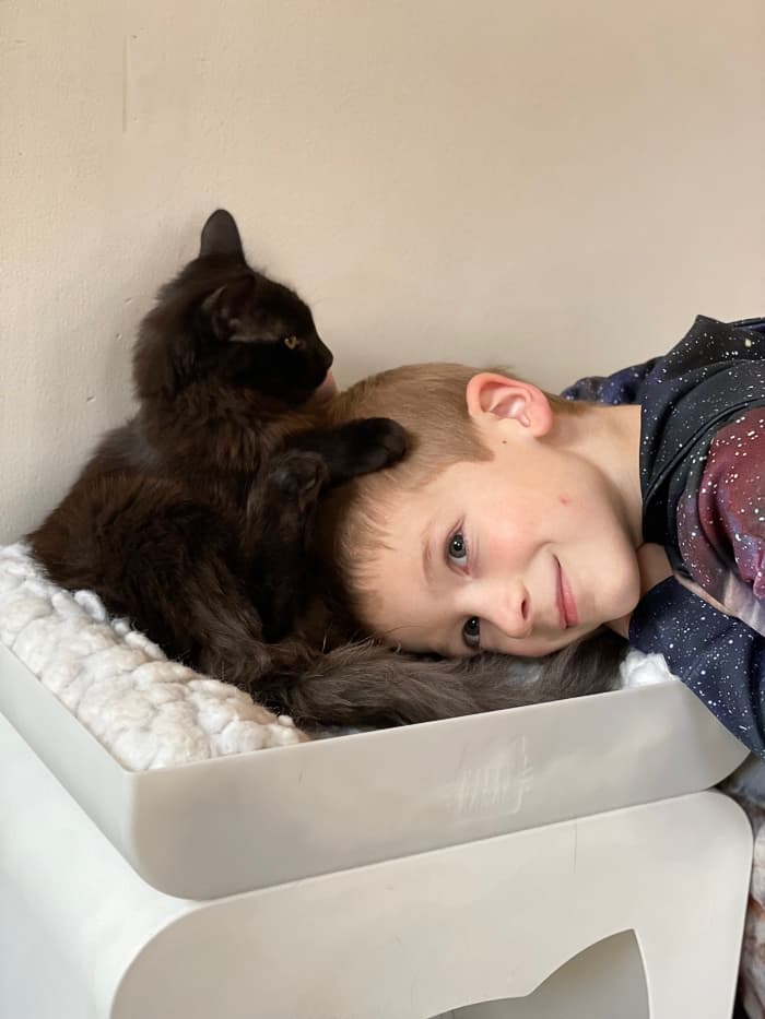 a boy snuggling with a black cat.