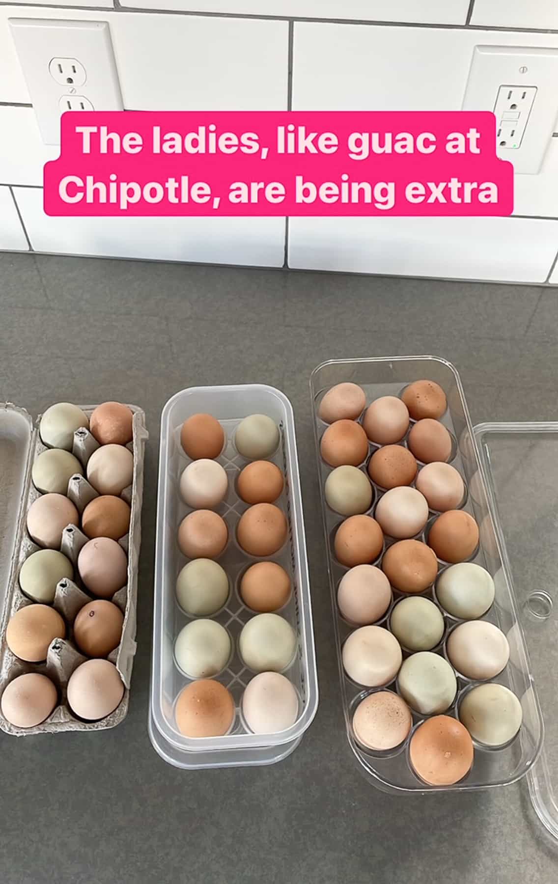 multiple cartons of eggs on a kitchen counter.