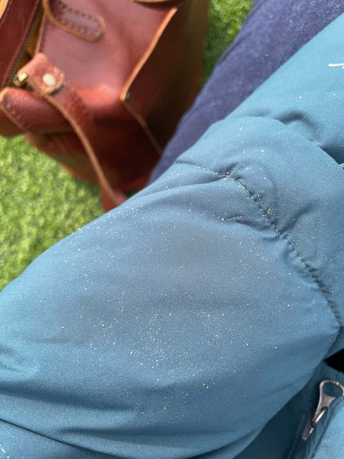a coat covered in pollen