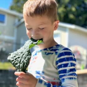 a kid eating a piece of kale.
