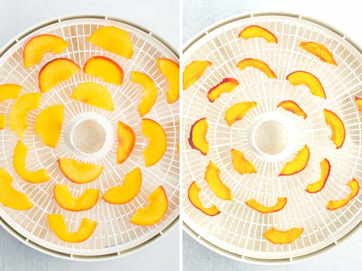 2 photos showing peaches on a dehydrator tray.