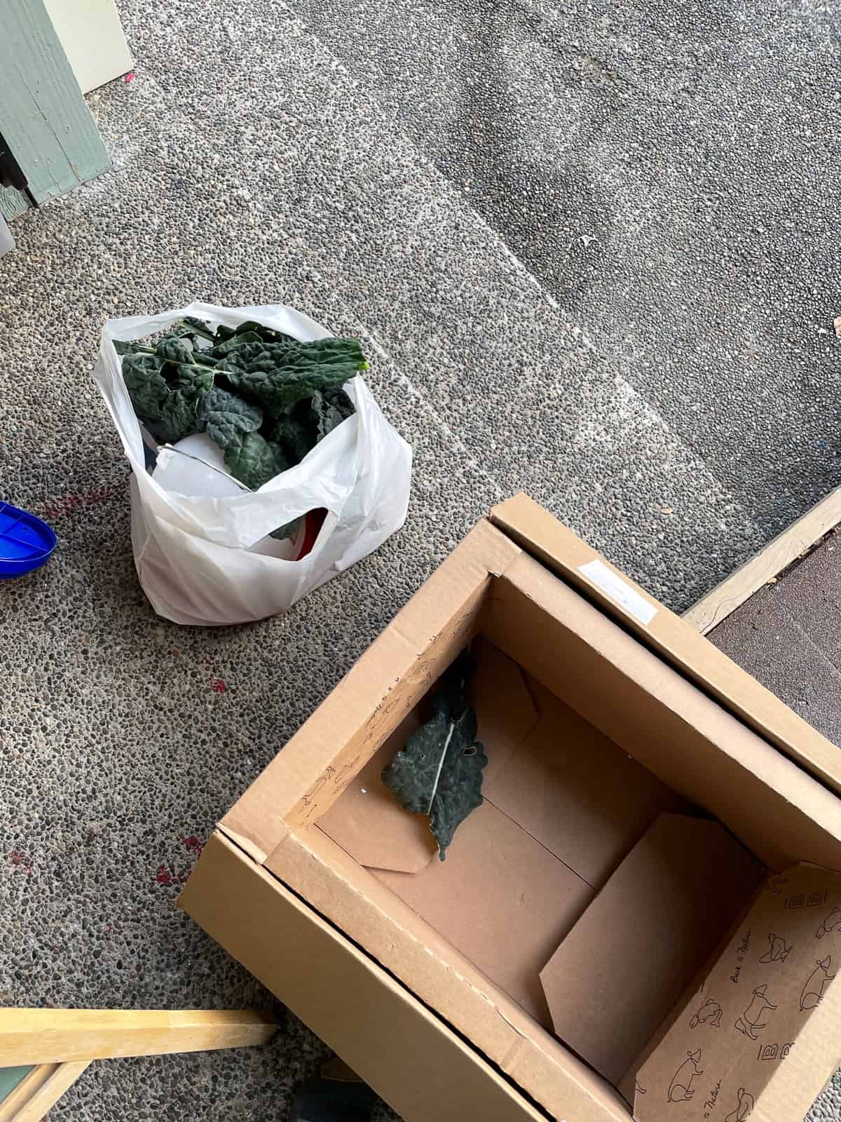 a bag of kale and a cardboard box
