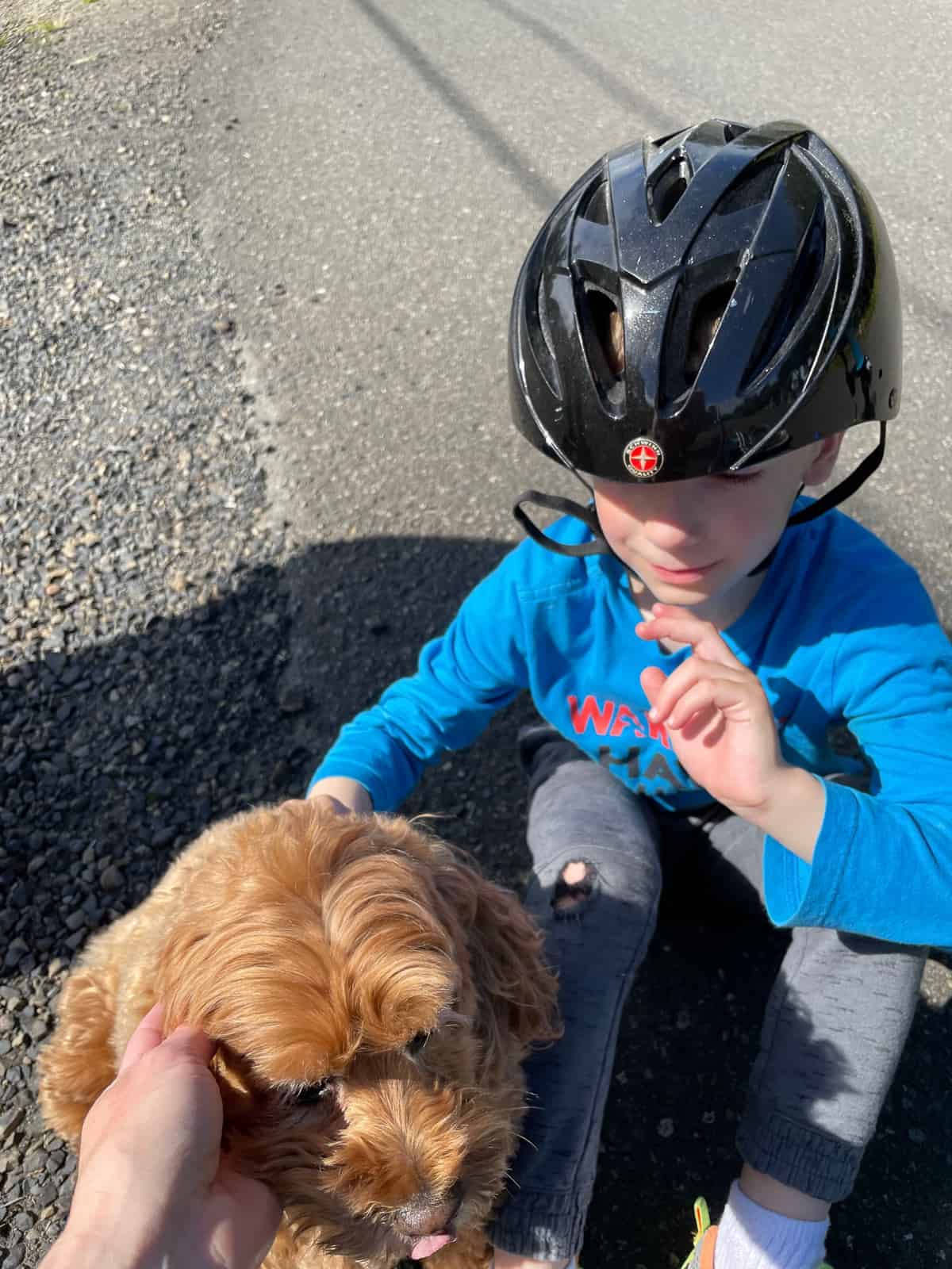 a boy in a bike helmet snuggling a dog