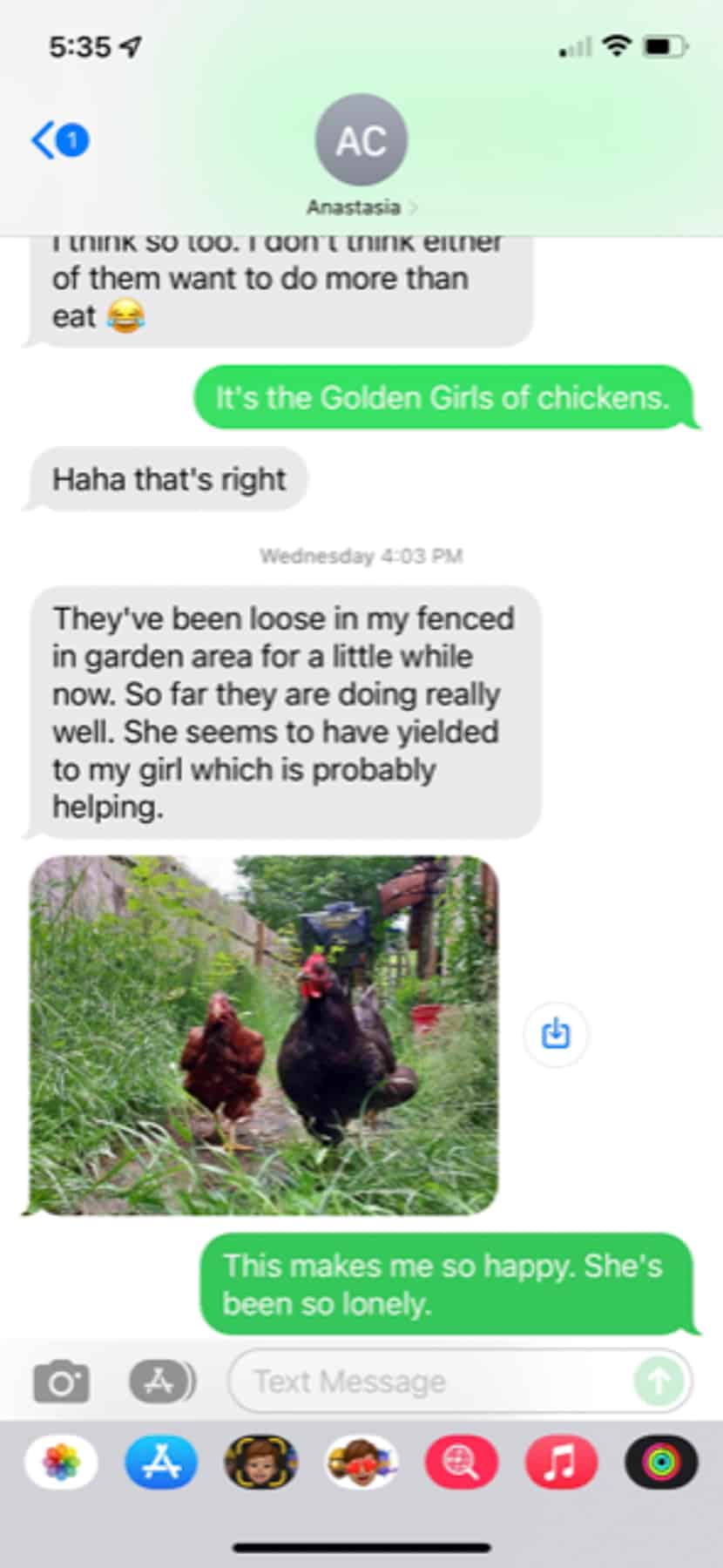 a text conversation about a chicken