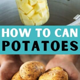 Quart jars of canned potatoes.