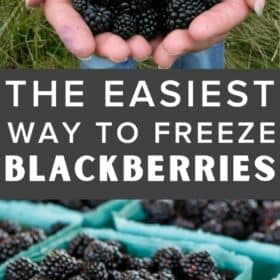 a hand holding fresh blackberries.
