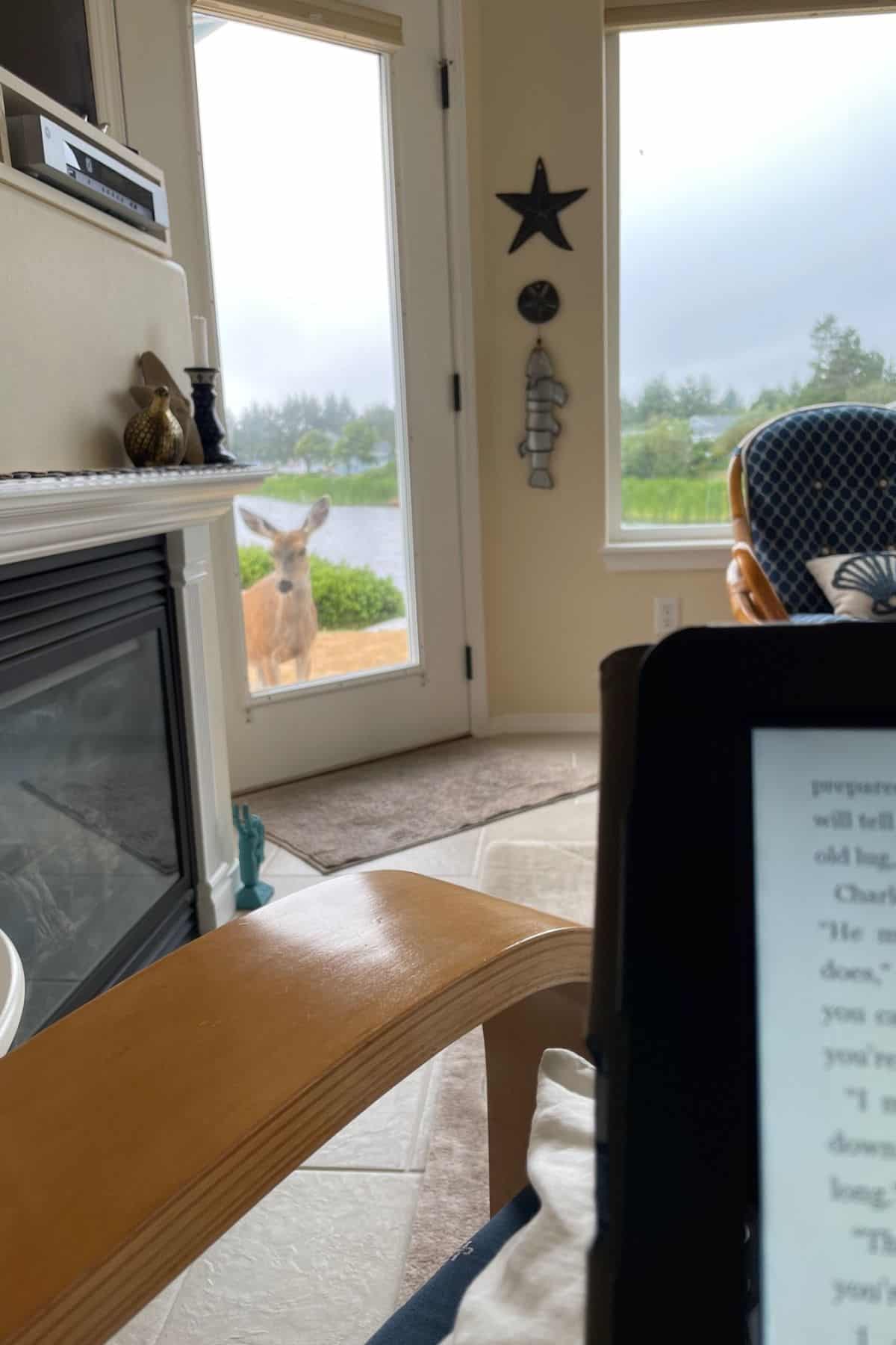 a deer looking through a window while someone reads a book from a Kindle.