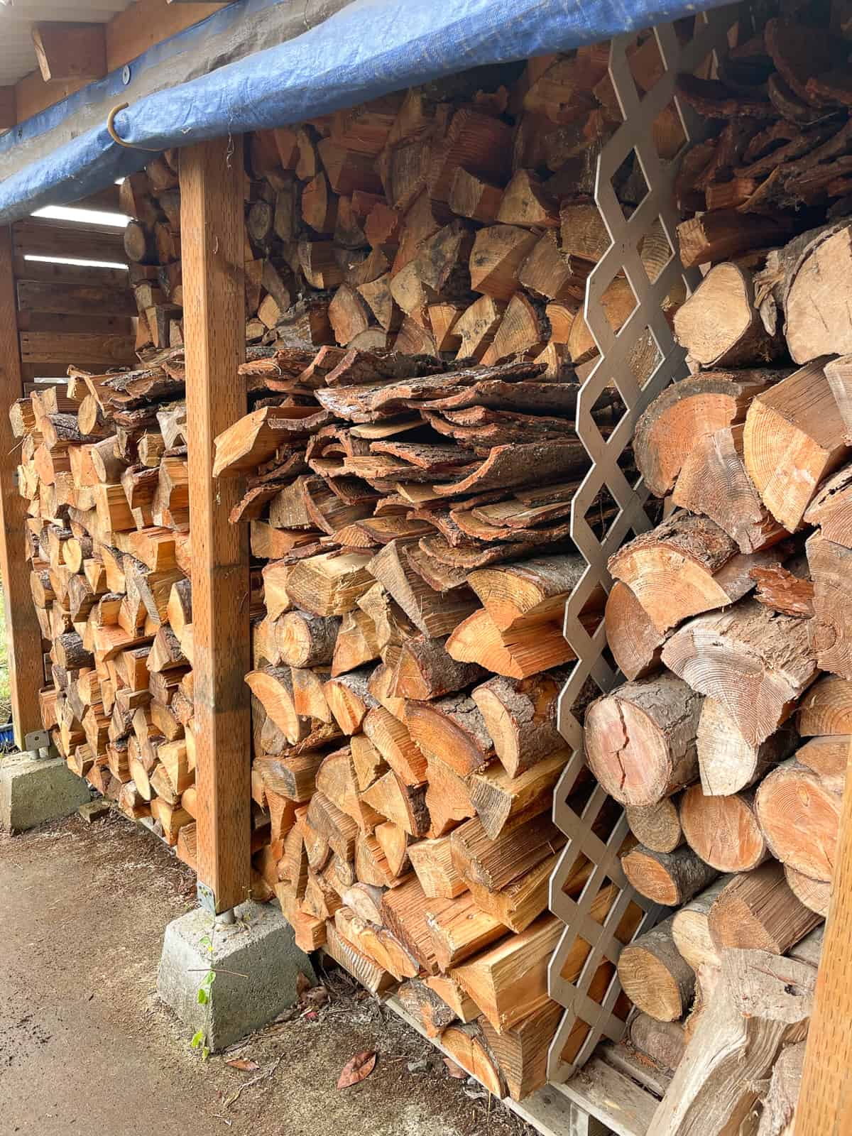 a big stack of firewood