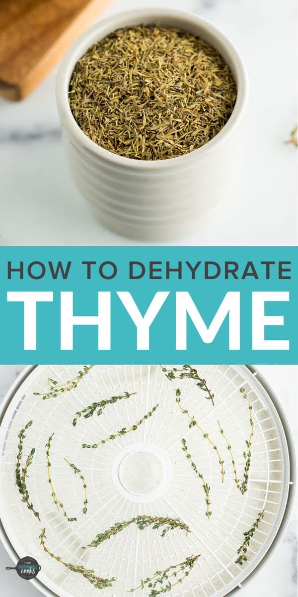 how-to-dry-thyme-sustainable-cooks