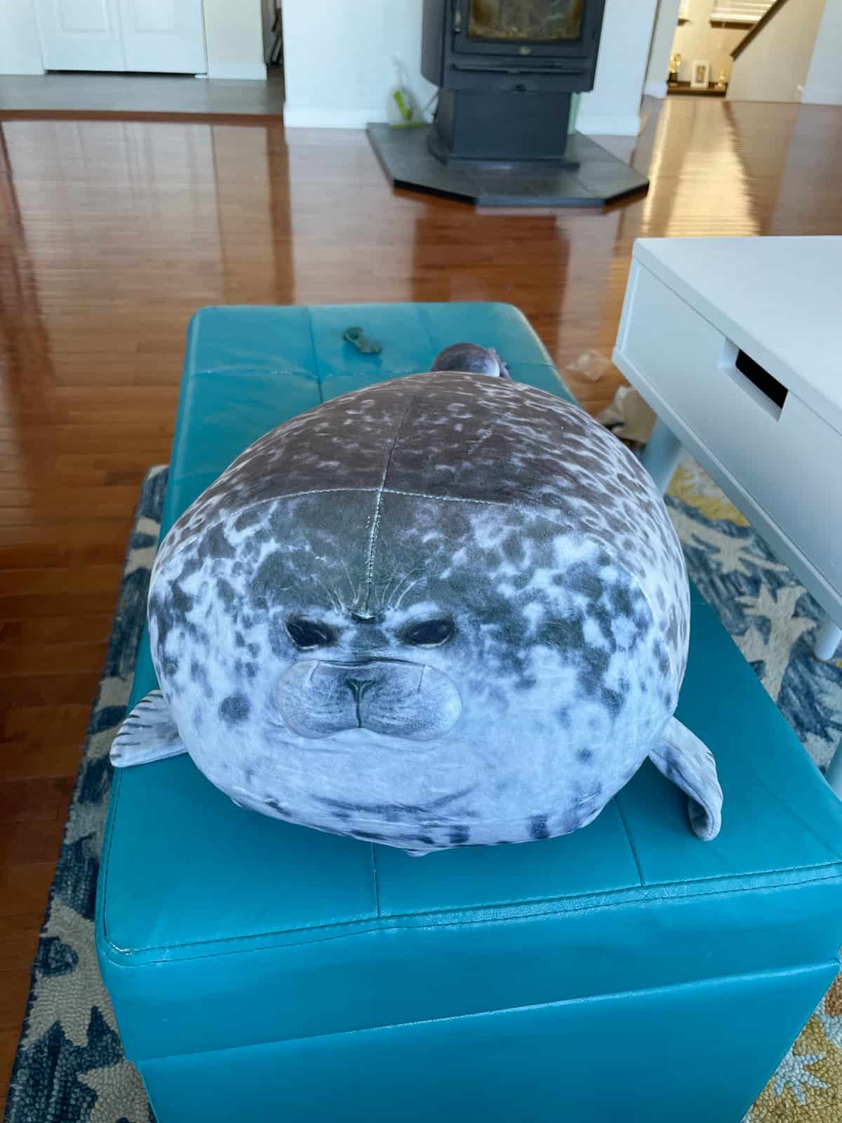 a chunky stuffed seal on a teal foot stool