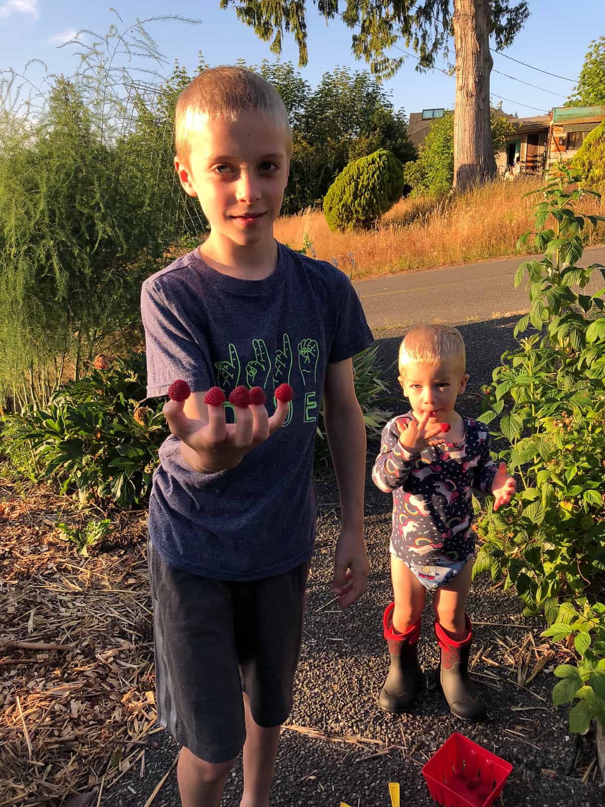 2 blonde boys with raspberries on their fingers.