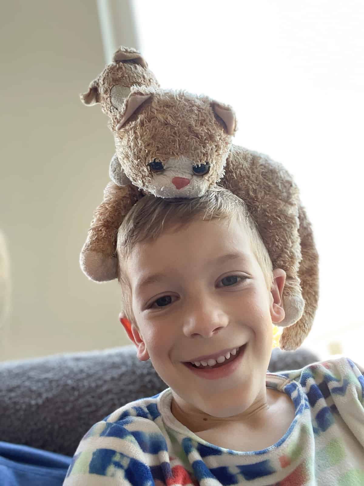 a kid with 2 stuffed cats on his head.