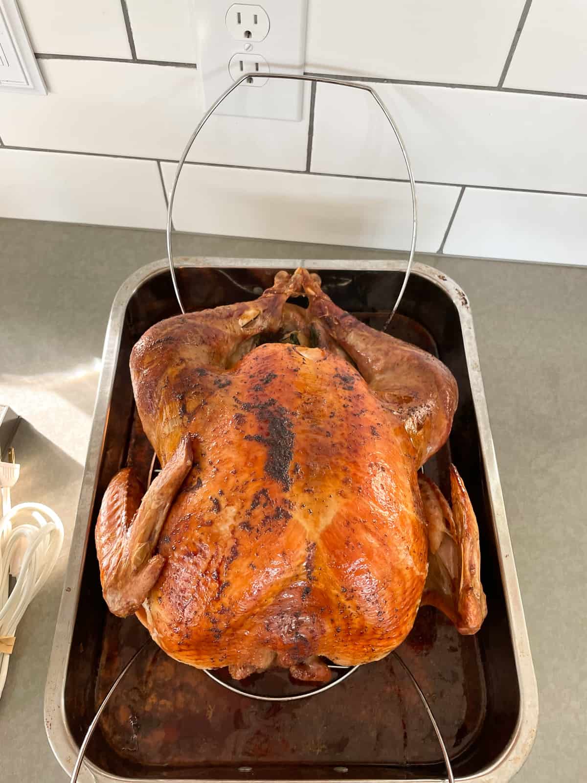 a roasted turkey in a pan.