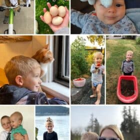 9 photos of a little kid.