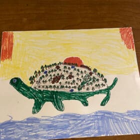 a drawing of a turtle with a world on its back.