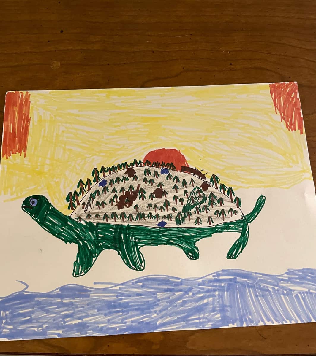 a drawing of a turtle with a world on its back.
