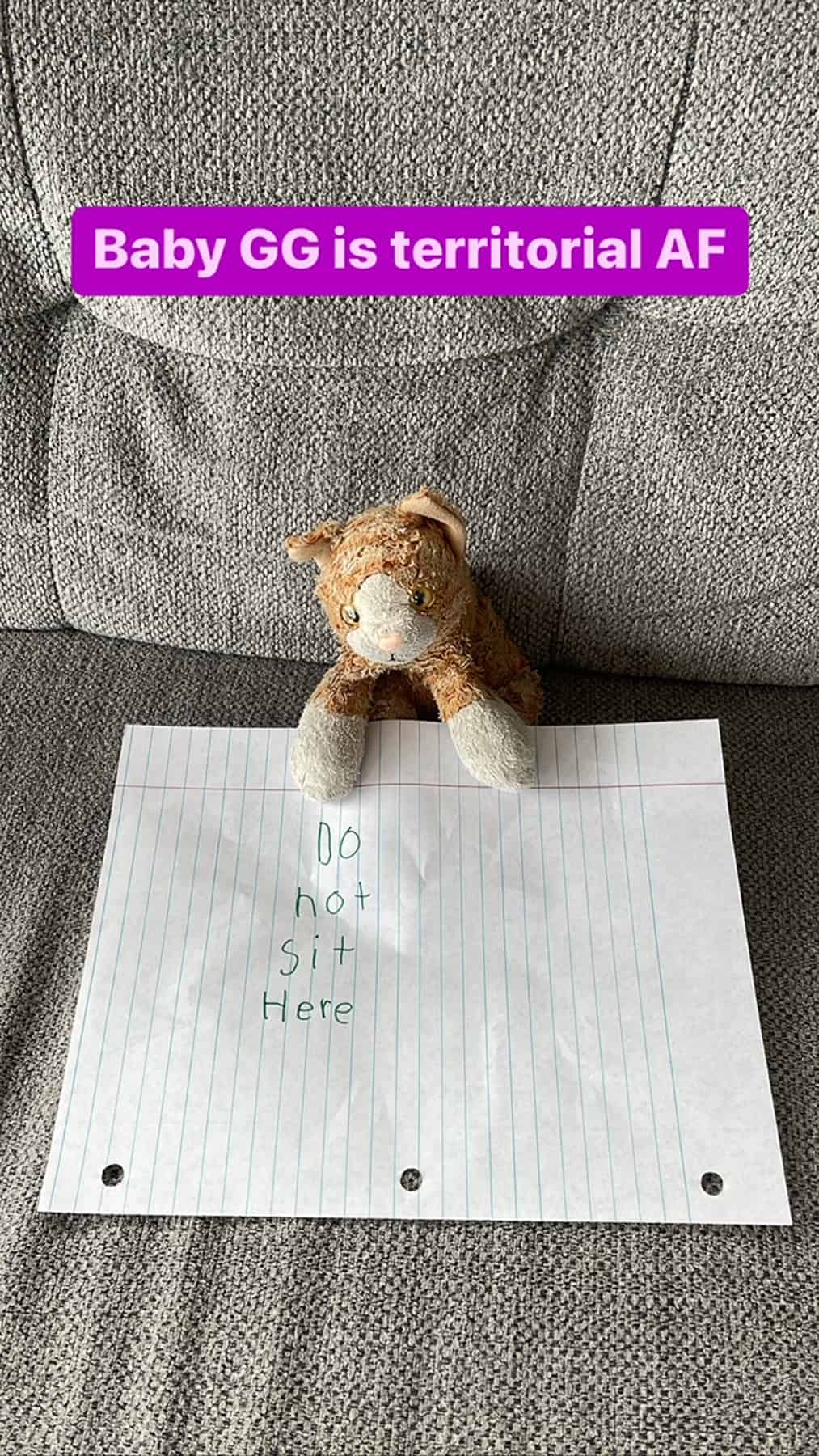 a stuffed cat with a sign on the couch.