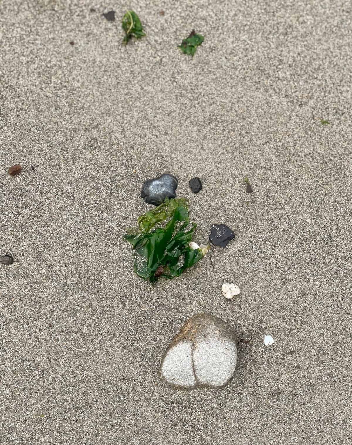 a rock on a beach with some seaweed
