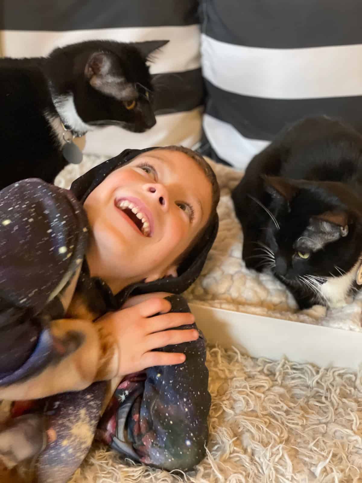 a boy with 2 cats.