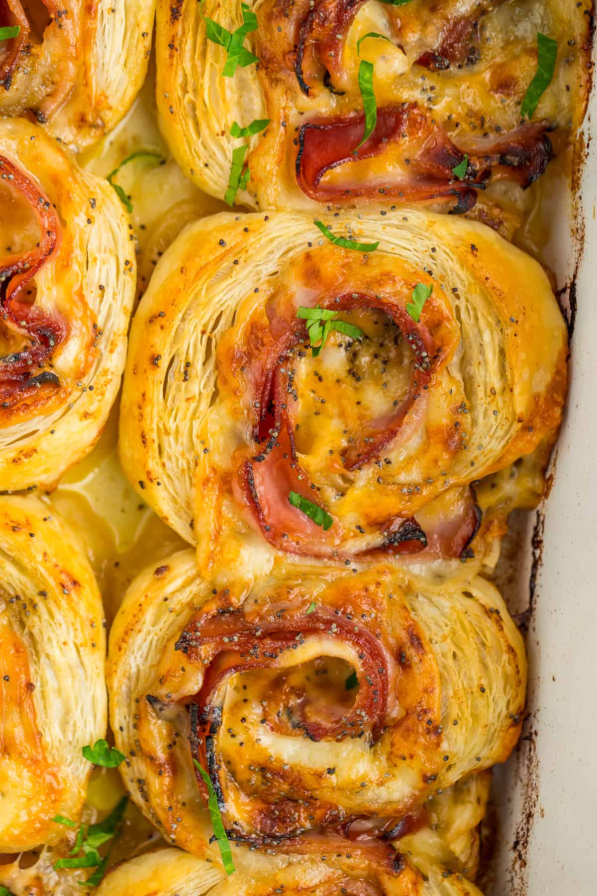 6 ham and cheese pinwheels in a white baking dish.