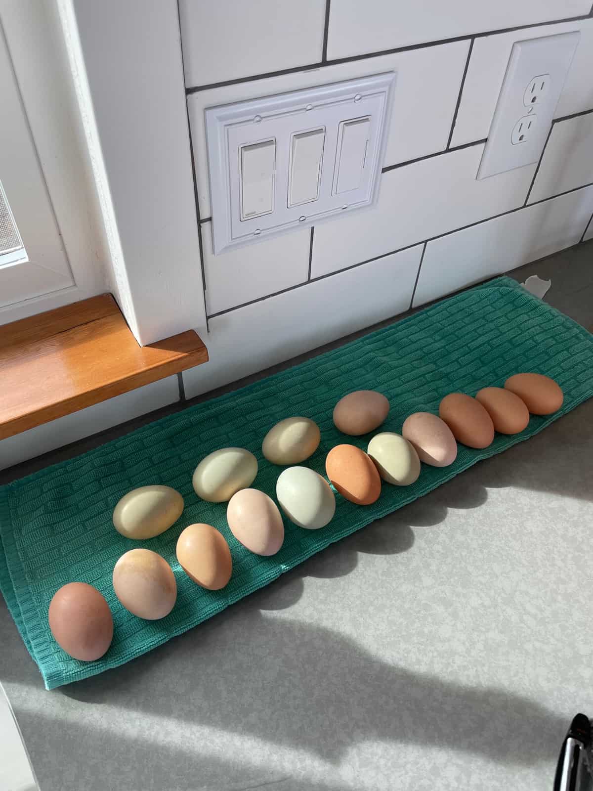 colorful chicken eggs on a teal towel