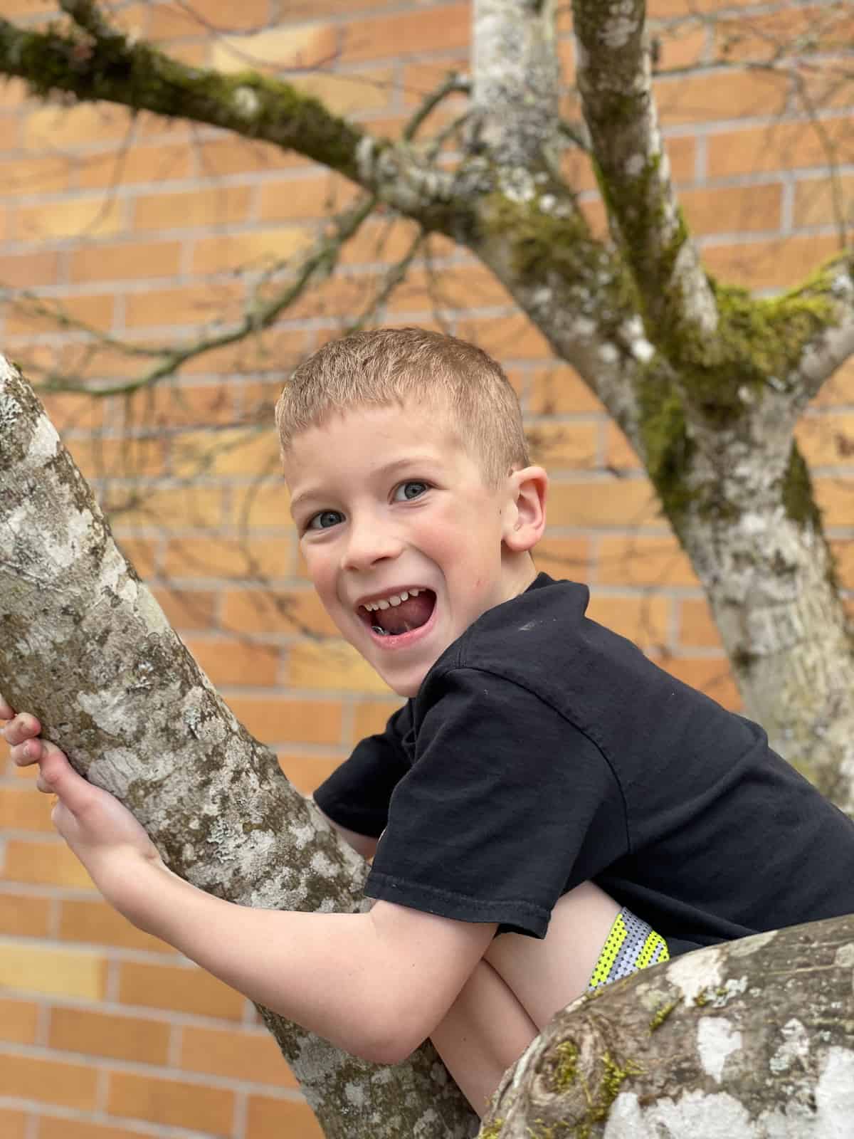 a boy in a tree.