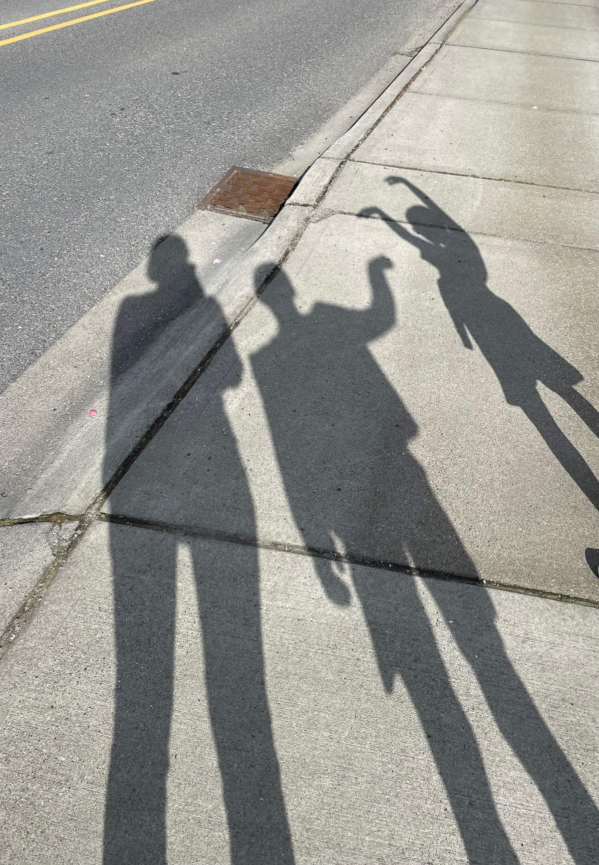 the shadows of 3 people on a sidewalk.