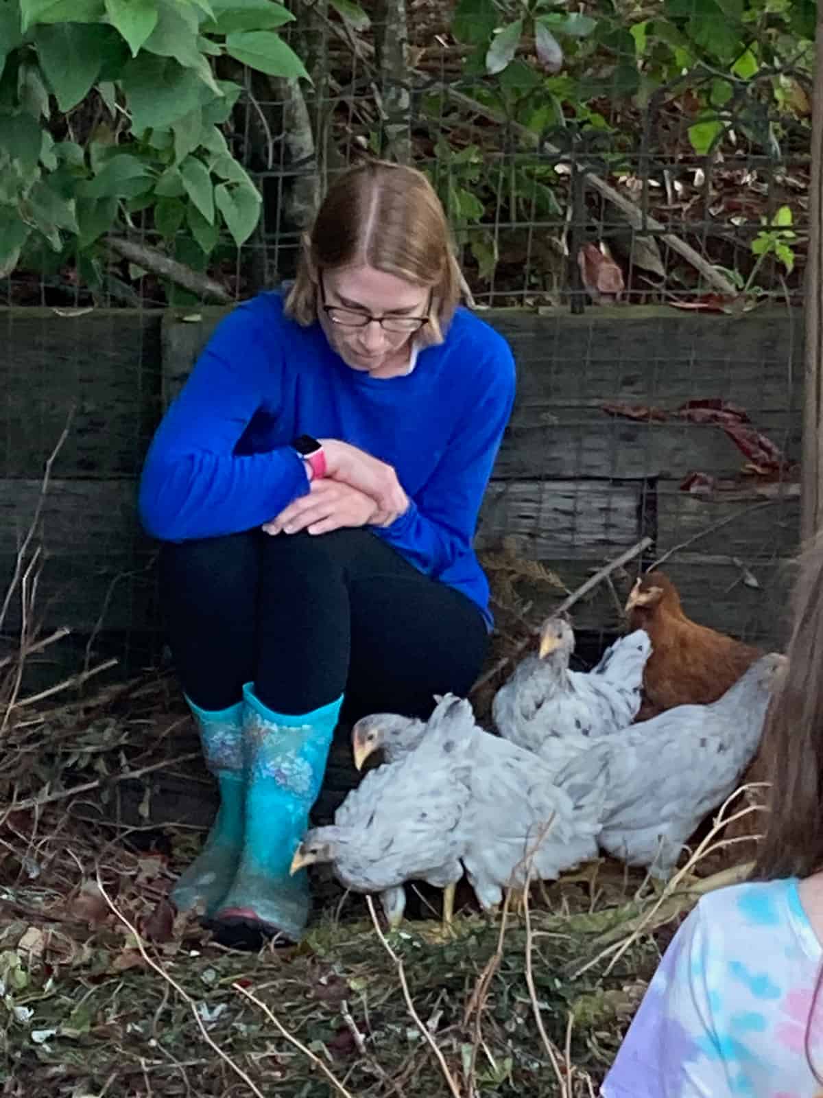 small chickens huddling next to a woman in a blue shirt and glasses.