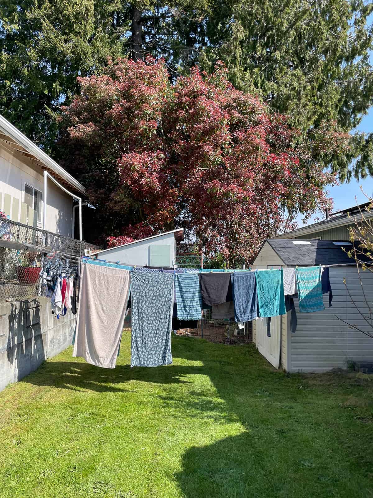 clothes on the line.
