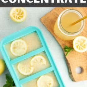 frozen blocks of lemonade concentrate with sliced lemons on top.