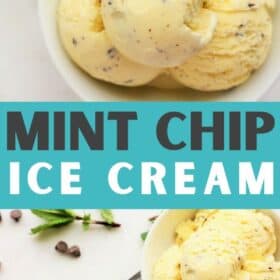 scoops of homemade mint chip ice cream.