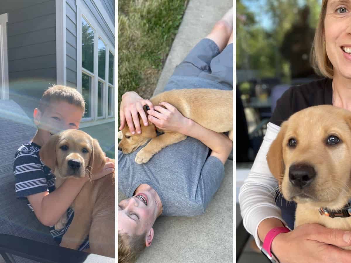 3 photos of a puppy with 2 boys and a woman.