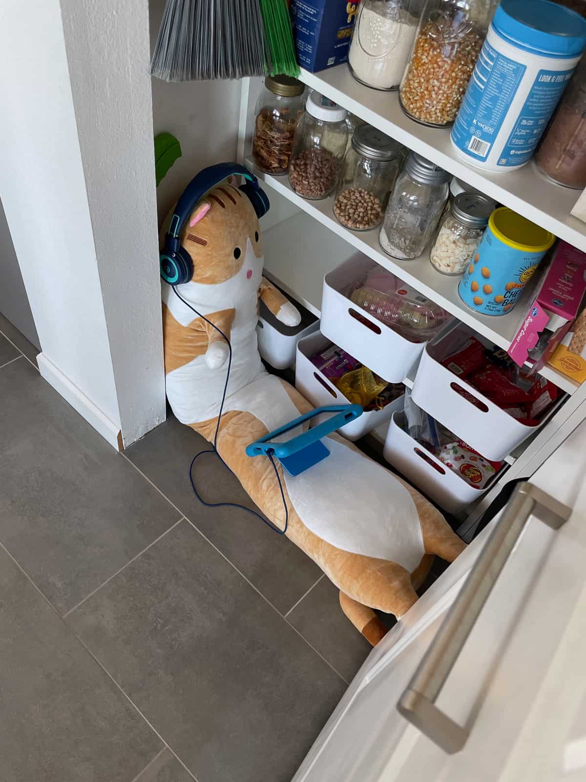 a stuffed animal in a pantry.